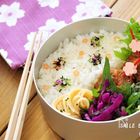 【1食300円】これを見れば完璧!1週間分節約お弁当献立