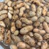 農家さんに習った落花生の塩茹での工程1