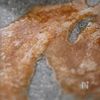 子どもも食べやすい【ナッツ入り!ザクザク田作り】の工程3