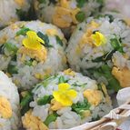 【春のごちそう♪】菜の花と炒り卵のおにぎり🌼