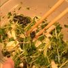 豆苗とささみの塩レモンナムルの工程3