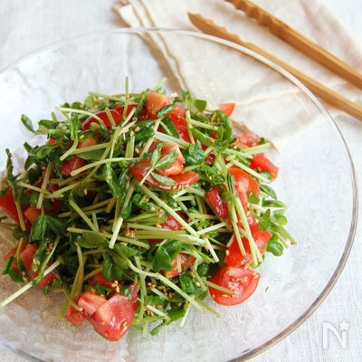 豆苗とトマトのやみつきサラダ《3分で完成!》