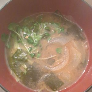 たりおの作ってみた!投稿(かいわれ大根の美味しい食べ方😋1位✨お味噌汁🤤🌱)