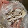 新ごぼうで作る【チキンチキンごぼう】の工程1