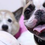 きょうこカフェ☆