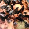 yukieの作ってみた!投稿(3分おつまみビール用♡ちくわとアボカドのちょい辛ユッケ)