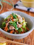 抱えて食べたい♪『湯かけ白菜とツナ塩昆布の無限サラダ』
