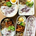 節約に見えないけれど、しっかり節約弁当｜必殺！アヤコの10分弁当Vol.26