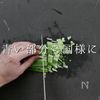 これだけでご飯が進む!究極のねぎ塩ダレの工程3