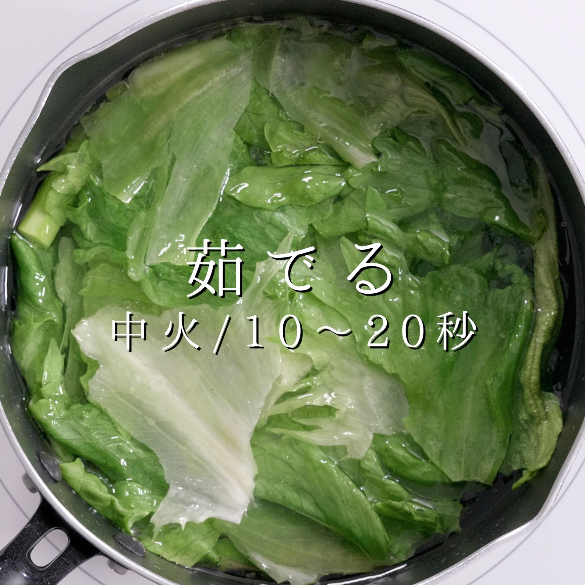 超簡単 美味 香港的名物油菜 ヤウチョイ レシピサイトnadia 超簡単 美味 香港的名物油菜 ヤウチョイ レシピサイトnadia