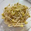 やみつき！【豆苗と豆もやしのさっぱりナムル】の工程2