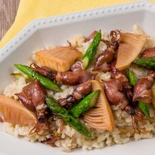 【だしが香る】ほたるいかと春野菜の和風リゾット