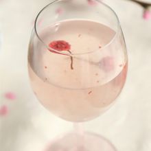 桜咲くシュワシュワゼリー