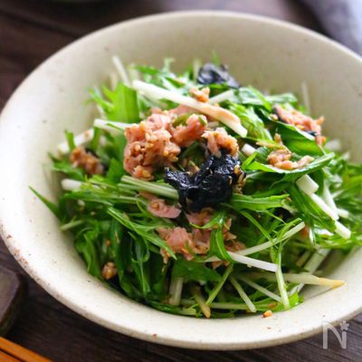 水菜のツナ海苔サラダ【切って和えるだけ♪簡単副菜】