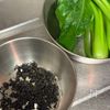 髪や肌のハリつやに【小松菜の黒ごま和え】の下準備