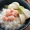 【美味しく胃を癒すならこれ！】かぶと明太子のうまだし茶漬け