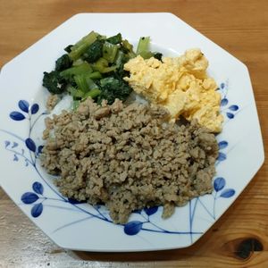 小野加代の作ってみた!投稿(【甘辛そぼろの三色丼】10分で即完成♡ごはんとの相性抜群!)