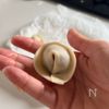 蒸し器不要！見た目もかわいい【ピリ辛もやしマンドゥ】の工程2