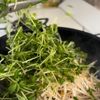 【箸が止まらない！】豆苗とひき肉のオイスター炒めの工程2