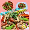 サトちゃんの作ってみた!投稿(季節の変わり目に!【豚こまとエリンギとパプリカの甘辛炒め】)
