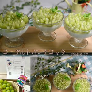クラ蔵の作ってみた!投稿(家族絶賛☆爽やか♡ヨーグルトパンナコッタ)