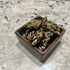 1015646の作ってみた!投稿(簡単おやつ♪胡麻のお菓子)
