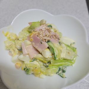 1バーバミーの作ってみた!投稿(彩りきれい♪副菜におすすめ！キャベたまマヨサラダ)