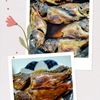ゆみの作ってみた!投稿(【ほご（カサゴ）の煮つけ】意外と簡単！時短！美味しい煮つけ。)