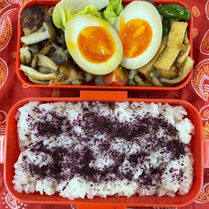 みっさキッチンの作ってみた!投稿(【失敗なしの煮卵】煮卵の黄金比！半熟卵の基本の煮卵〈味玉〉)