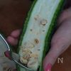 【ほろ苦×コクうま】ゴーヤとイカのナムル風和えの下準備