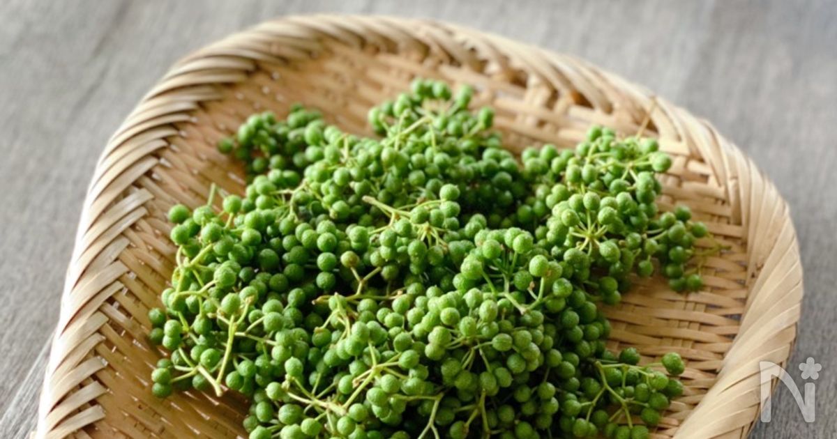 季節仕込み 実山椒のアク抜きと冷凍保存 By Kikusuzu 菊地美鈴 レシピサイト Nadia ナディア プロの料理家のおいしいレシピ