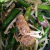 730815の作ってみた!投稿(サバ缶まるごと!サバとニラもやしのピリ辛炒め)