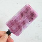 材料4つ！子供と作ろう♪ブルーベリーアイス