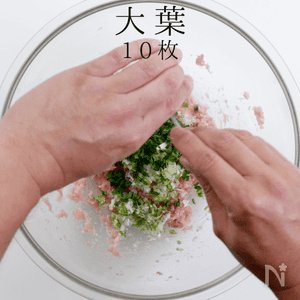つくねページ Mizukiオフィシャルブログ「奇跡のキッチン」 - つくね Powered