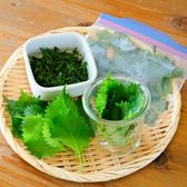 大葉の保存方法