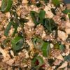 MOTOの作ってみた!投稿(我が家自慢《息子が飛びつく♡麻婆豆腐麺》)