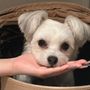 まーやん
