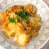 煌蓮mamの作ってみた!投稿(厚揚げと茄子のとろとろみぞれ煮)