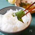 ずっとご飯食べちゃう…！大葉のピリ辛しょう油漬け