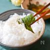 ずっとご飯食べちゃう…!大葉のピリ辛しょう油漬け