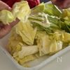 【ちぎりキャベツとそぼろのとろたま】ぱぱっとできる♡の工程1