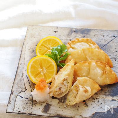 厚揚げと玉ねぎの揚げ餃子＆焼き餃子