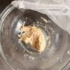 抱えて食べたい!【トマトと新玉ねぎとささみのサラダ】の工程1