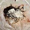 【レンジで簡単しゅうまい】包み簡単♪の工程4