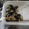 たなさん1122197の作ってみた!投稿(【なすとオクラとお揚げの生姜炒め】冷やしても美味しい♪)