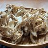 やみつきおとも　塩昆布きのこの下準備