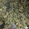 mochiの作ってみた!投稿(地味でも許せるおいしさ『さばの生ふりかけ』＃サバ缶)