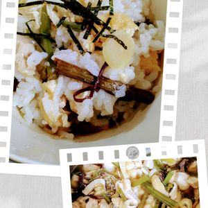 ゆみの作ってみた!投稿(炊いたご飯に混ぜるだけ♪褒められる山菜鶏めし🤭💖)