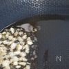 七味と檸檬のビーフン。の工程3