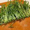 【切り干し大根と豆苗のデリサラダ】秒で完食！の工程2